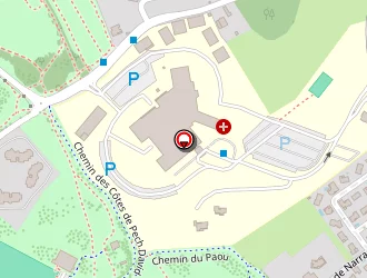 Carte de Izard-idée Christine à Toulouse