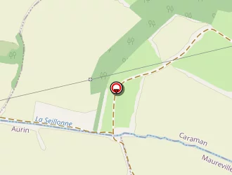 Carte de Saint Alary Florence à Aurin