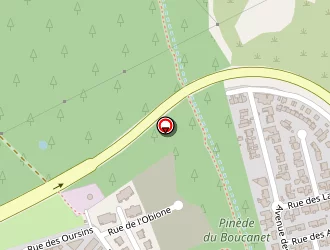 Carte de Causse Bruno à Grau-du-roi (le)