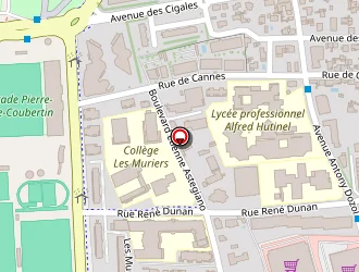 Carte de Controle Technique Auto à Cannes