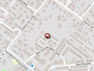 Carte de Ruiz Elodie à Toulouse