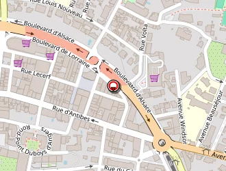 Carte de Costel Saran à Cannes