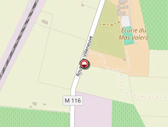 Carte de Ibanez Jésus à Lattes