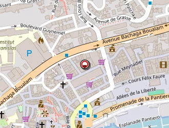 Carte de Picard Surgelés à Cannes