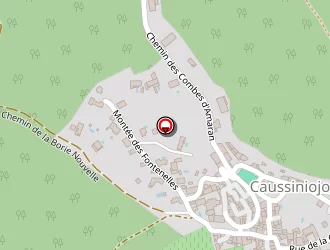 Carte de Karting à Caussiniojouls