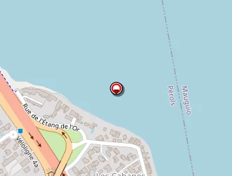 Carte de Longhi Thierry à Pérols