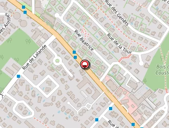 Carte de Wfm Groupe à Saint-orens-de-gameville