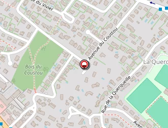 Carte de Pascale Eric à Saint-orens-de-gameville