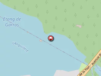 Carte de Mecs Castillon à Tarnos