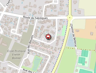 Carte de Teissier Romain à Cournonterral