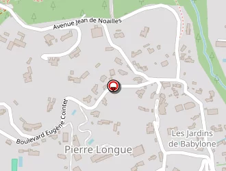 Carte de Laaroussi Ahmed à Cannes