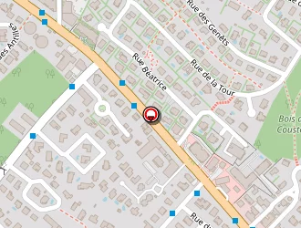 Carte de Bertocchi Isabelle à Saint-orens-de-gameville