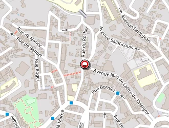 Carte de Reflex Emploi à Cannes