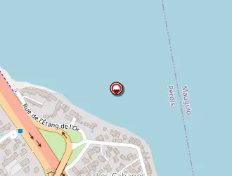 Carte de Fs Pro Maintenance à Pérols