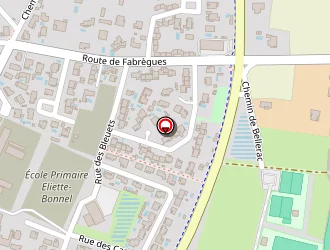 Carte de Goncalves Agostinho à Cournonterral