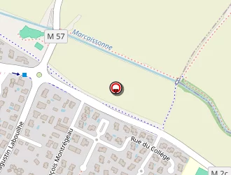 Carte de Michaudet Pierrette à Saint-orens-de-gameville