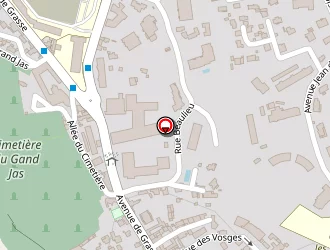 Carte de Mallavan Florent à Cannes