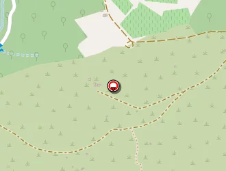 Carte de Tarin Michel à Olargues