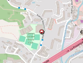 Carte de Erdogan Sevki à Cannes