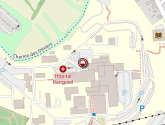 Carte de Nessaf Mohamed à Toulouse