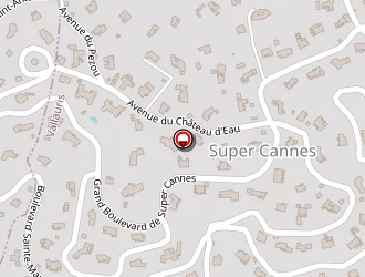 Carte de Ski Nautique à Vallauris