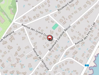 Carte de Calzola Dino à Antibes juan les pins