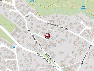 Carte de Sanchez Elsa à Cournonterral