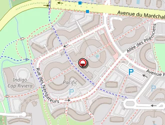 Carte de Dechievre Diane à Grande-motte (la)