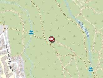 Carte de Nambert Fabienne à Cournonterral