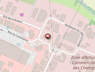 Carte de Allio Marcel à Saint-orens-de-gameville