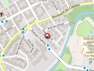 Carte de Billard Serge à Plaisance-du-touch