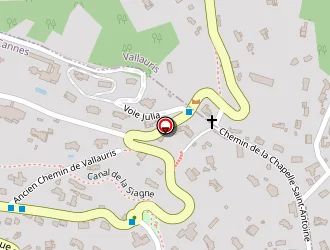 Carte de Taxi Thinel à Cannes