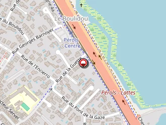 Carte de Roy à Pérols