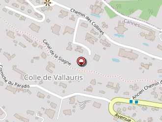 Carte de La Belle Fleur à Cannes