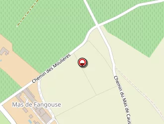 Carte de Bonneterre (sc) à Lattes