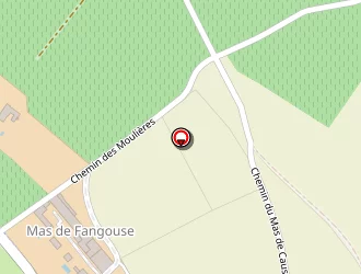 Carte de Fromental Patrick à Lattes