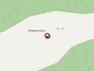 Carte de Lafourcade Aurélie à Cauneille