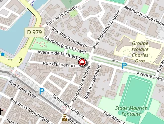 Carte de Ribas David à Aigues-mortes