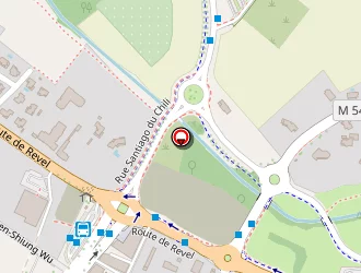 Carte de Buisson Jean Louis à Toulouse