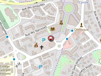 Carte de Police Municipale à Lattes