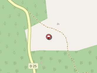 Carte de Radicchi Stéphane à Callas