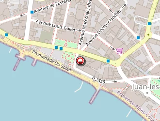 Carte de Turin Patrick à Antibes juan les pins