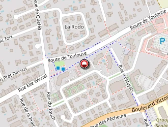 Carte de Codet De Boisse Olivier à Plaisance-du-touch