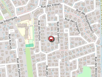 Carte de Rocamora Armand à Lattes