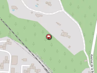 Carte de Capacci Dario à Cannes