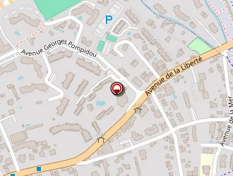 Carte de Boat Services à Golfe juan (le)