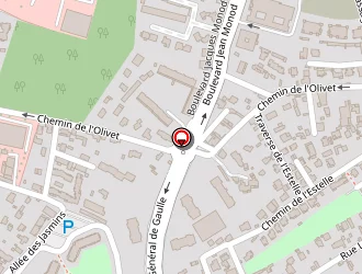 Carte de Goguelat Cédric à Cannet (le)