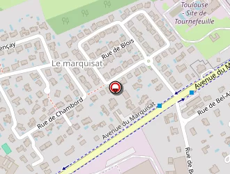 Carte de Lambertin Frédéric à Tournefeuille