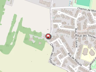 Carte de Willems Andre à Saint-orens-de-gameville