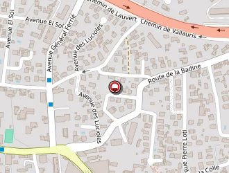 Carte de Laymey Laymey à Antibes juan les pins